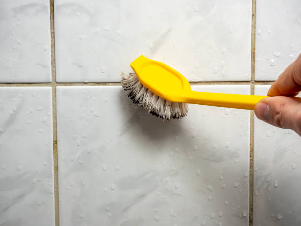 Best Best Mold Removal Companies  in Wells Branch, TX